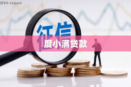 特克斯度小满贷款