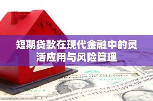 特克斯短期贷款在现代金融中的灵活应用与风险管理
