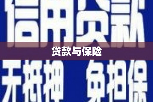 特克斯贷款与保险