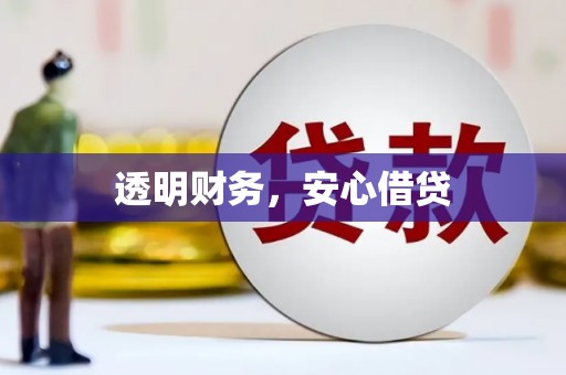 特克斯透明财务，安心借贷