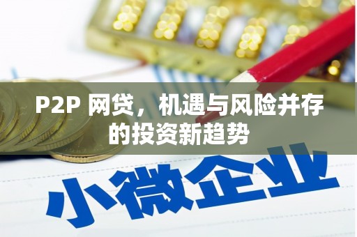 特克斯P2P 网贷，机遇与风险并存的投资新趋势