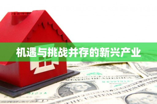 特克斯机遇与挑战并存的新兴产业