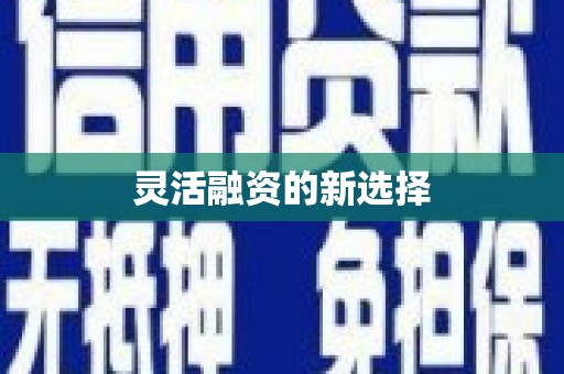 特克斯灵活融资的新选择