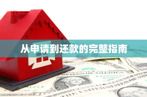 特克斯从申请到还款的完整指南