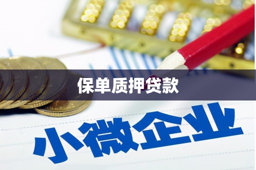 特克斯保单质押贷款