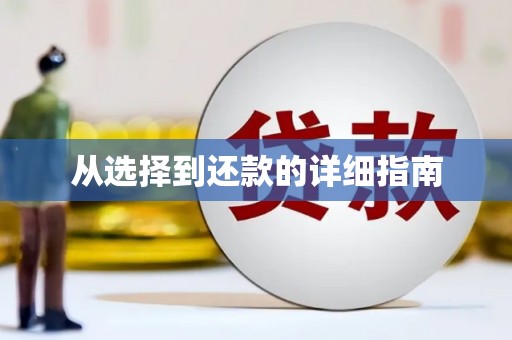特克斯从选择到还款的详细指南