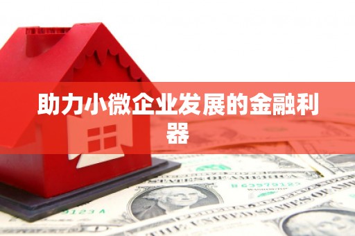 特克斯助力小微企业发展的金融利器