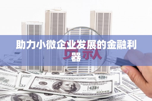 特克斯助力小微企业发展的金融利器