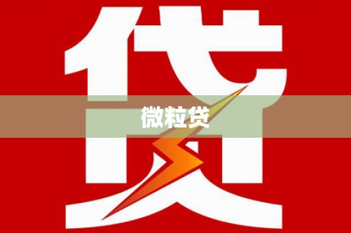 特克斯微粒贷