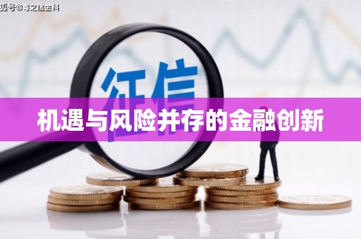 特克斯机遇与风险并存的金融创新