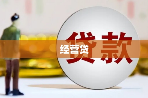 特克斯经营贷