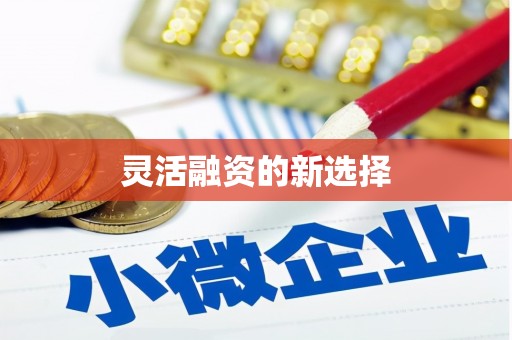 特克斯灵活融资的新选择