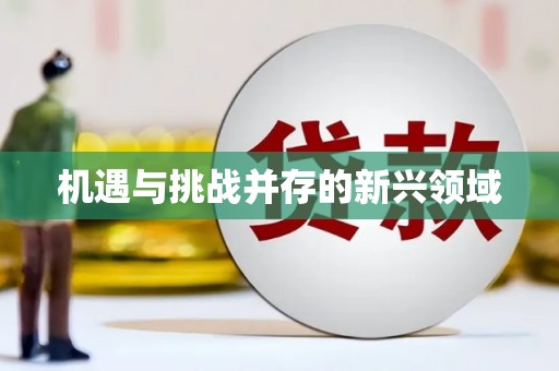 特克斯机遇与挑战并存的新兴领域