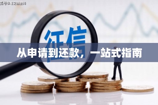 特克斯从申请到还款，一站式指南