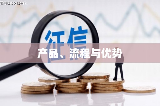 特克斯产品、流程与优势