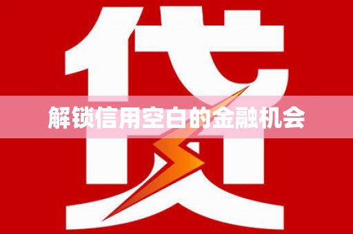 特克斯解锁信用空白的金融机会