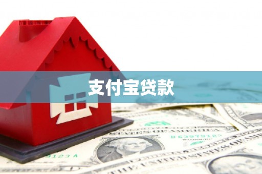特克斯支付宝贷款