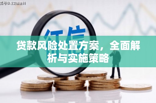 特克斯贷款风险处置方案，全面解析与实施策略