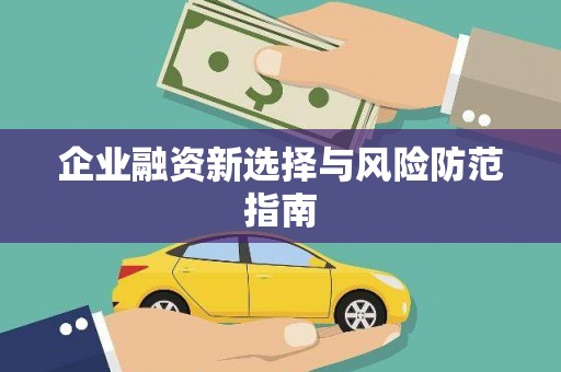 特克斯企业融资新选择与风险防范指南