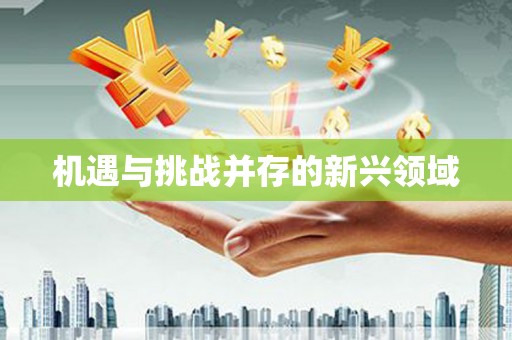 特克斯机遇与挑战并存的新兴领域