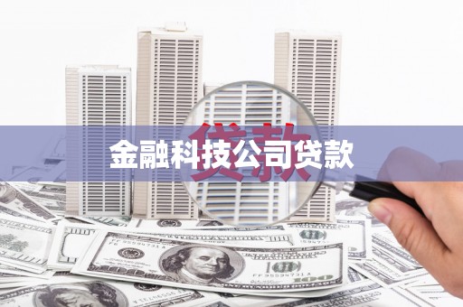 特克斯金融科技公司贷款