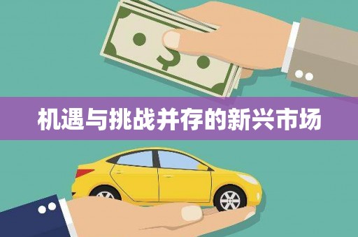 特克斯机遇与挑战并存的新兴市场