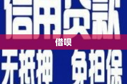 特克斯借呗