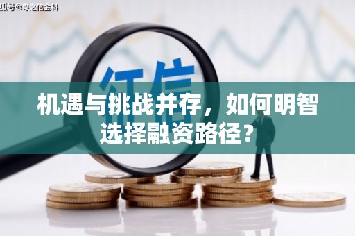 特克斯机遇与挑战并存，如何明智选择融资路径？