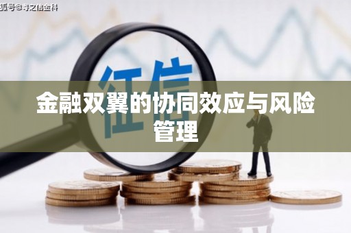 特克斯金融双翼的协同效应与风险管理