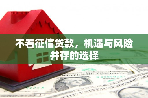 特克斯不看征信贷款，机遇与风险并存的选择