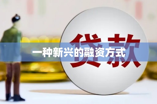 特克斯一种新兴的融资方式