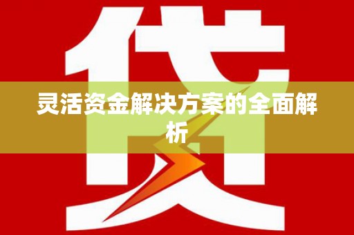 特克斯灵活资金解决方案的全面解析