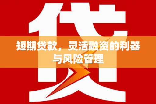 特克斯短期贷款，灵活融资的利器与风险管理