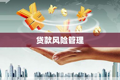 特克斯贷款风险管理