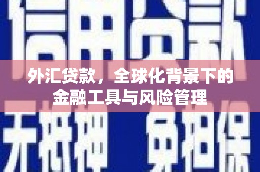 特克斯外汇贷款，全球化背景下的金融工具与风险管理