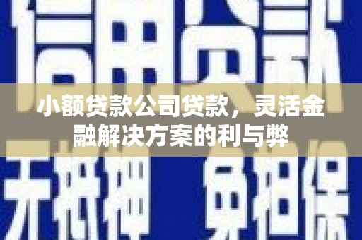 特克斯小额贷款公司贷款，灵活金融解决方案的利与弊