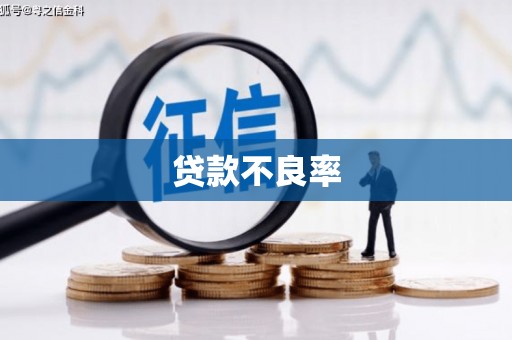 特克斯贷款不良率