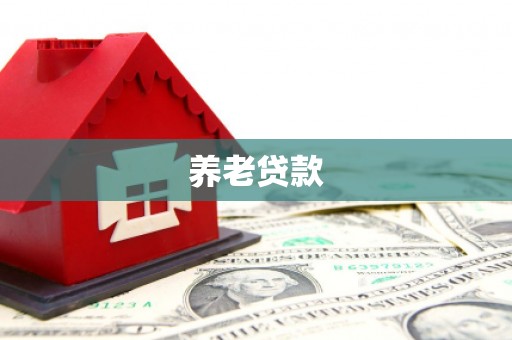 特克斯养老贷款