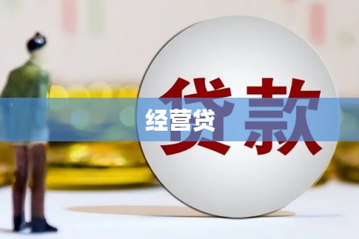 特克斯经营贷