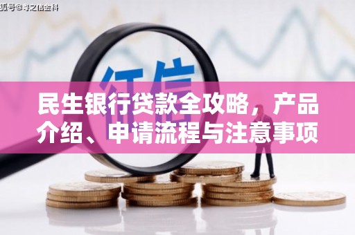 特克斯民生银行贷款全攻略，产品介绍、申请流程与注意事项